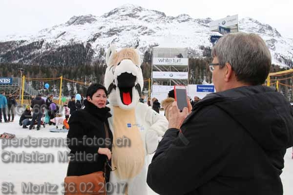 IMG 6612 prot